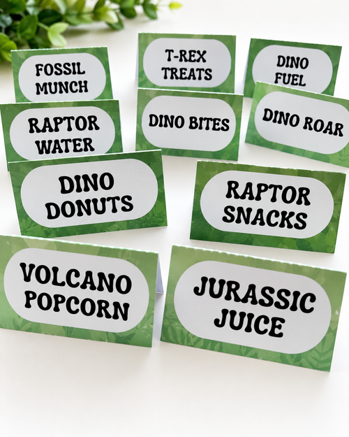 Bespoke Dinosaur Birthday Party Box for Kids Box & Party Co.