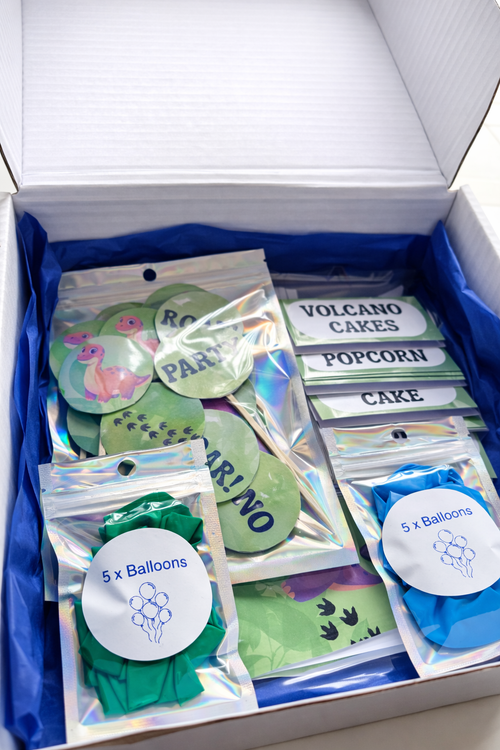 🦖 Dino Party Box Box & Party Co.